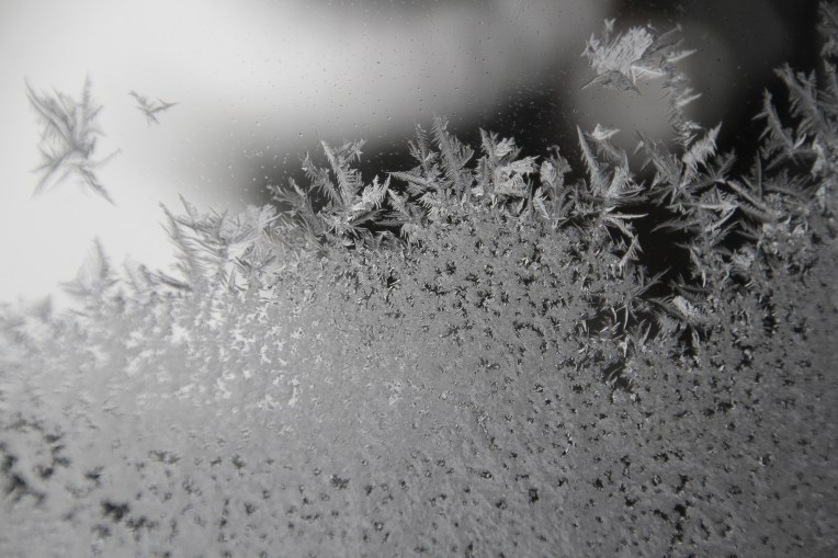 frost on the window